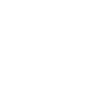 雅迪思